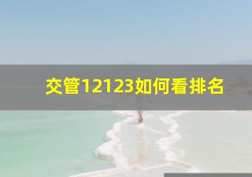 交管12123如何看排名