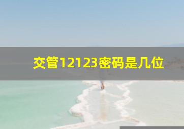 交管12123密码是几位