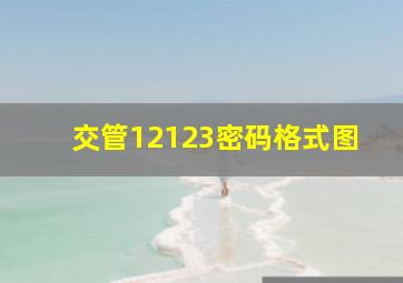 交管12123密码格式图