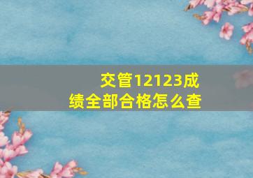 交管12123成绩全部合格怎么查