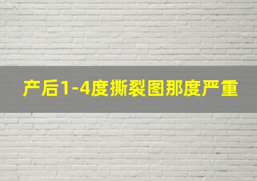 产后1-4度撕裂图那度严重