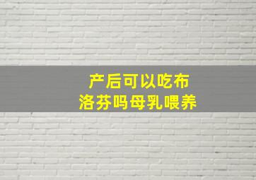 产后可以吃布洛芬吗母乳喂养