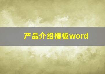 产品介绍模板word