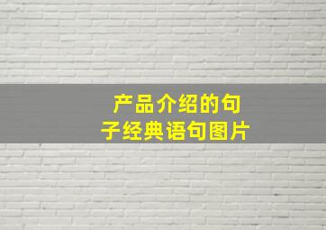 产品介绍的句子经典语句图片