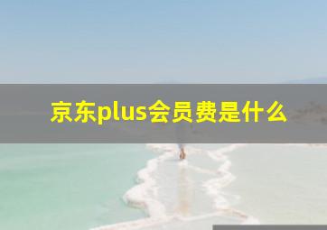 京东plus会员费是什么