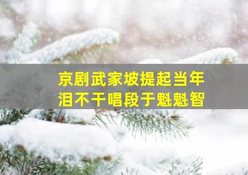 京剧武家坡提起当年泪不干唱段于魁魁智