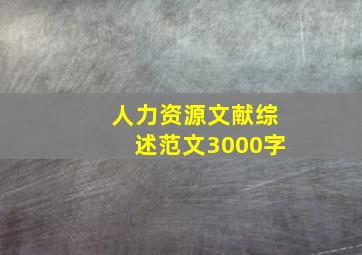 人力资源文献综述范文3000字