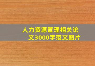 人力资源管理相关论文3000字范文图片