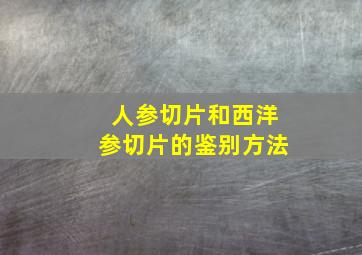 人参切片和西洋参切片的鉴别方法