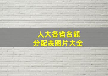 人大各省名额分配表图片大全