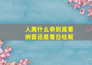 人属什么命到底看纳音还是看日柱呢