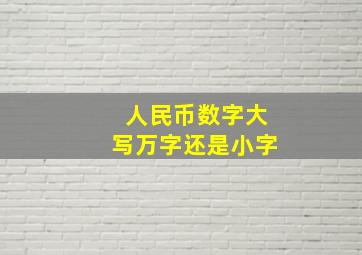 人民币数字大写万字还是小字