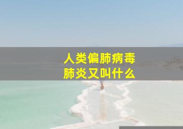 人类偏肺病毒肺炎又叫什么