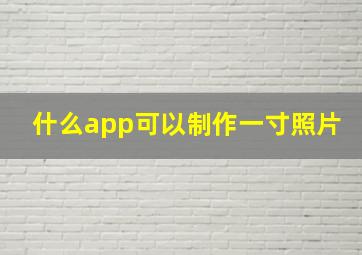 什么app可以制作一寸照片