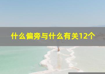 什么偏旁与什么有关12个