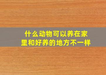 什么动物可以养在家里和好养的地方不一样