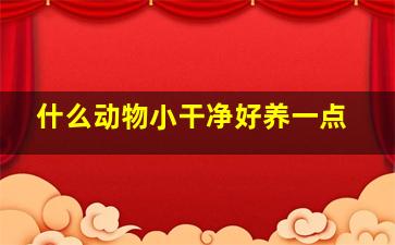 什么动物小干净好养一点