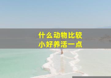 什么动物比较小好养活一点