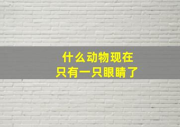 什么动物现在只有一只眼睛了