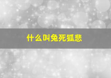 什么叫兔死狐悲