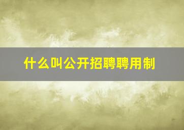 什么叫公开招聘聘用制