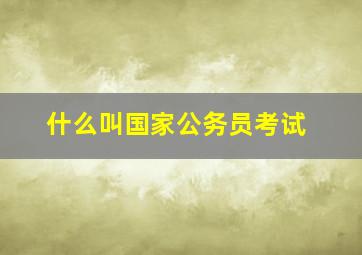 什么叫国家公务员考试