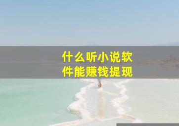 什么听小说软件能赚钱提现