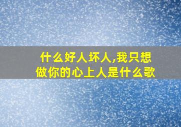 什么好人坏人,我只想做你的心上人是什么歌