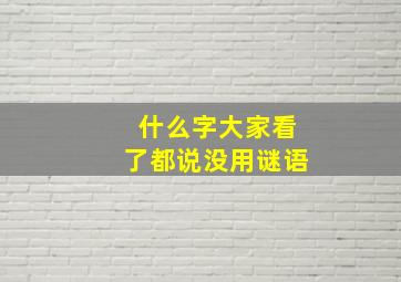 什么字大家看了都说没用谜语