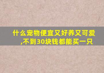 什么宠物便宜又好养又可爱,不到30块钱都能买一只