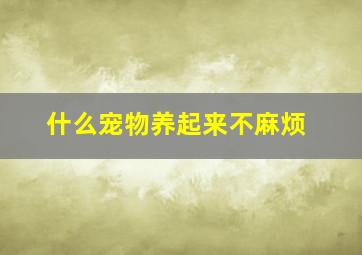 什么宠物养起来不麻烦