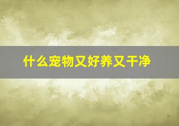 什么宠物又好养又干净