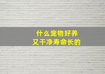 什么宠物好养又干净寿命长的