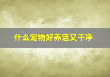 什么宠物好养活又干净