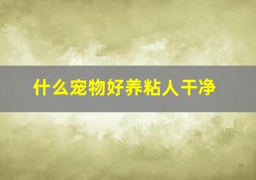 什么宠物好养粘人干净