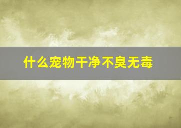 什么宠物干净不臭无毒