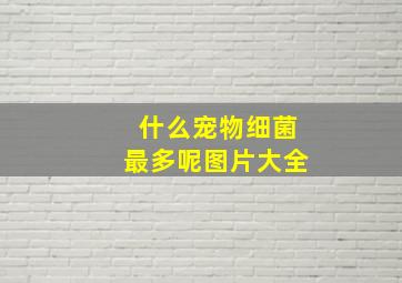 什么宠物细菌最多呢图片大全