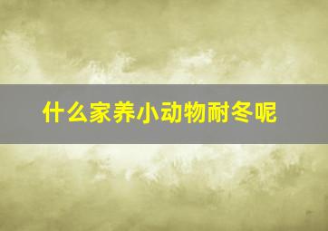 什么家养小动物耐冬呢