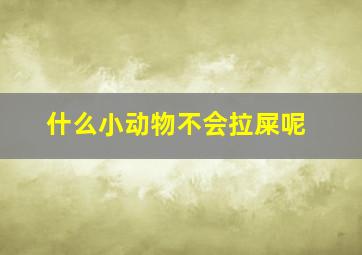 什么小动物不会拉屎呢