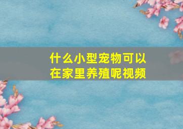 什么小型宠物可以在家里养殖呢视频