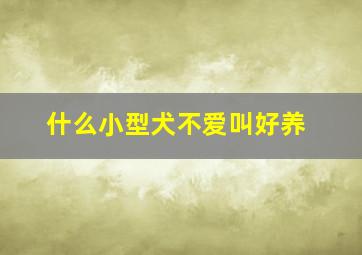 什么小型犬不爱叫好养