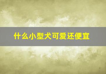 什么小型犬可爱还便宜