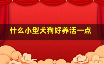 什么小型犬狗好养活一点