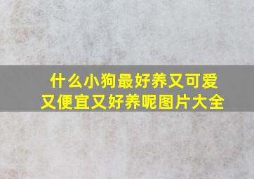 什么小狗最好养又可爱又便宜又好养呢图片大全