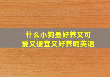 什么小狗最好养又可爱又便宜又好养呢英语