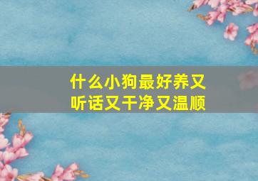 什么小狗最好养又听话又干净又温顺