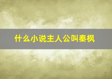 什么小说主人公叫秦枫