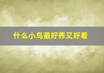 什么小鸟最好养又好看