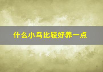 什么小鸟比较好养一点