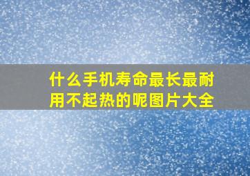 什么手机寿命最长最耐用不起热的呢图片大全